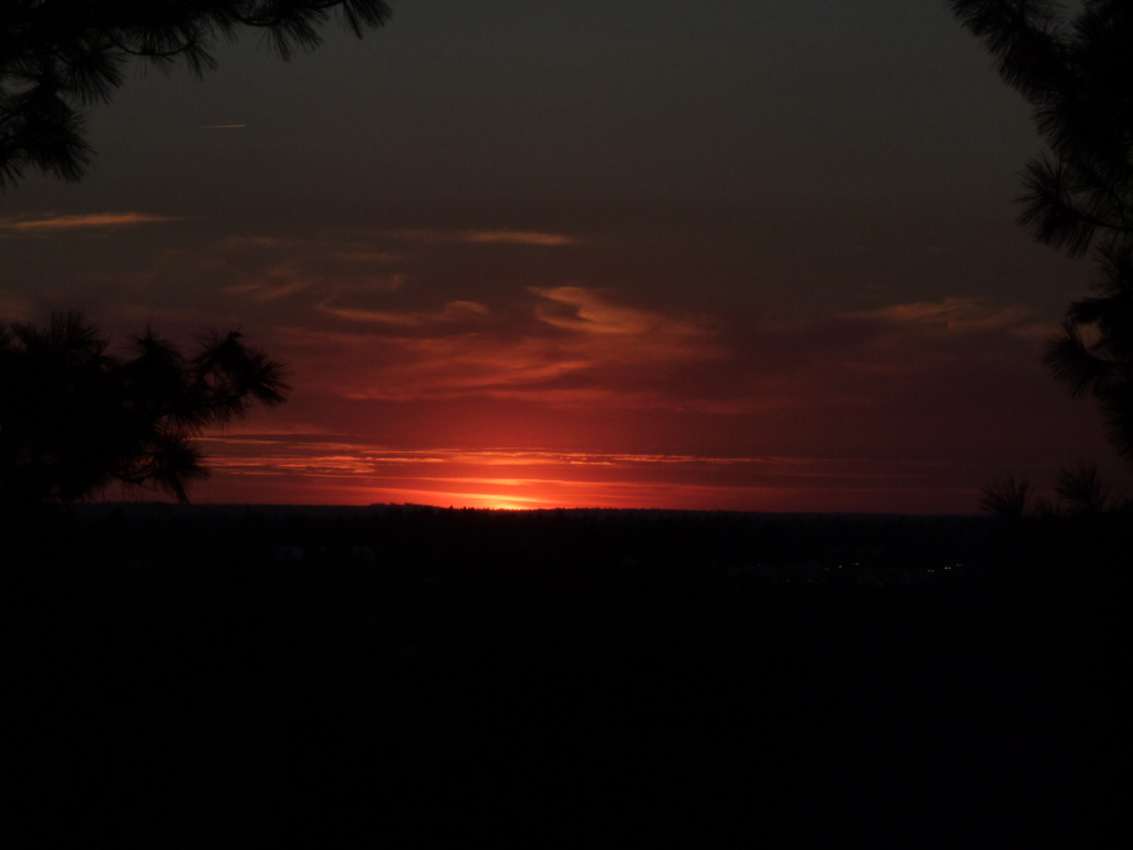 Spokane Pooper Scooper Yard Service (509) 4351103