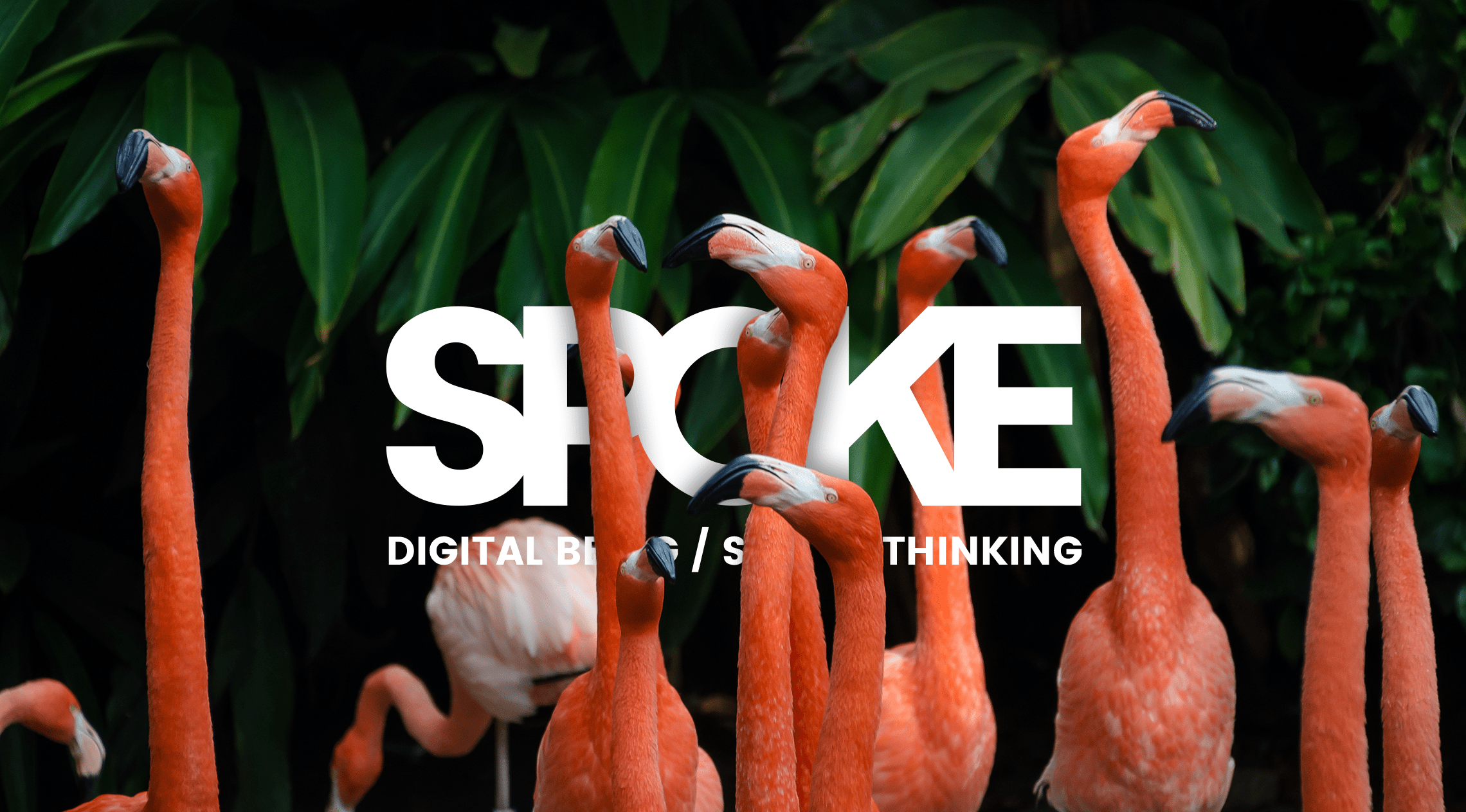 SPOKE Agence digitale spécialiste des médias sociaux