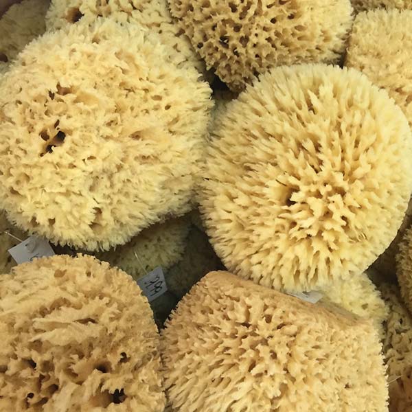 Spongeorama Sponge Factory Tarpon Springs, FL The World's Largest