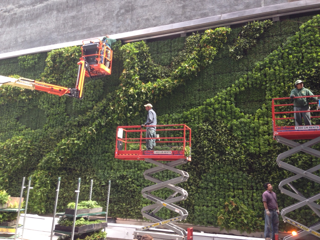 Green Roofs and Green Walls Sponzilli Landscape Group