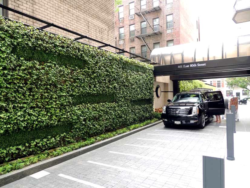 Gracie Mews Living Green Wall Sponzilli Landscape Group