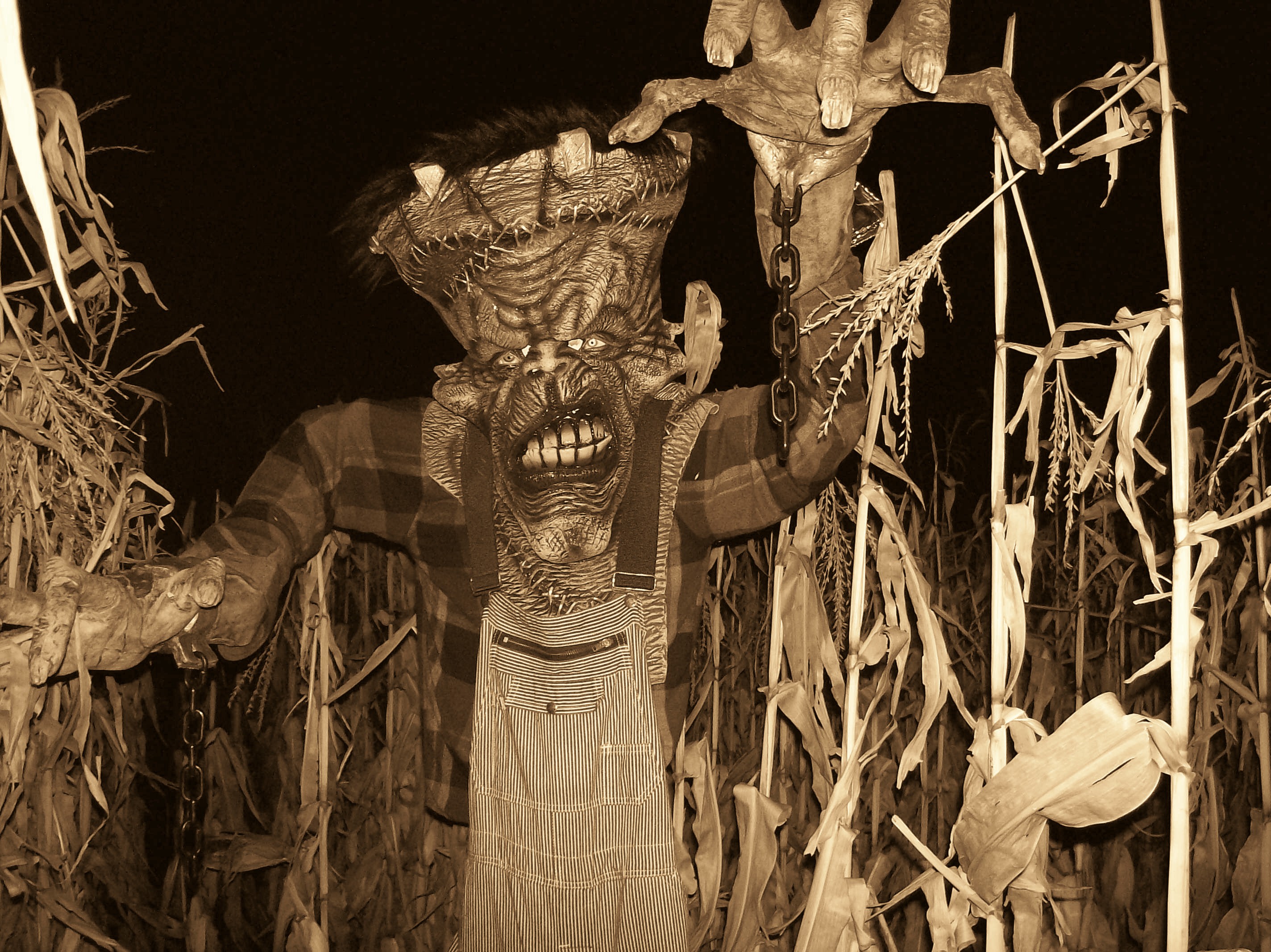 Spooky Stalks, Milwaukee's Only Haunted Cornfield About Us and News