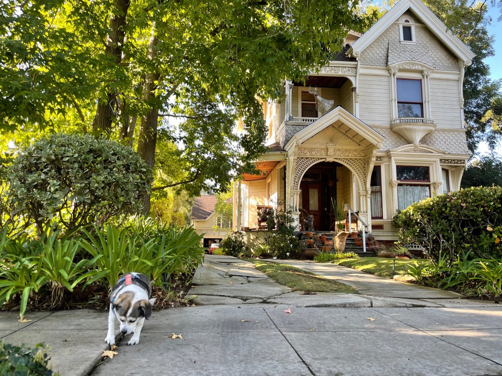 Malignant House Spooky Spaces