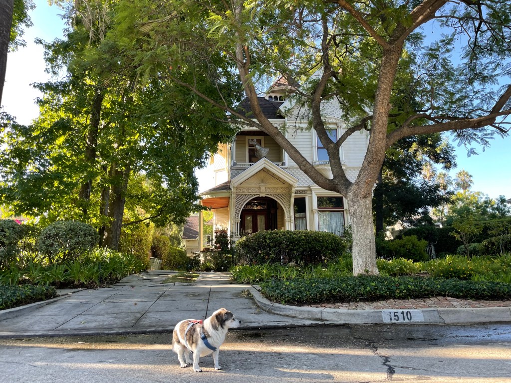 Malignant House Spooky Spaces