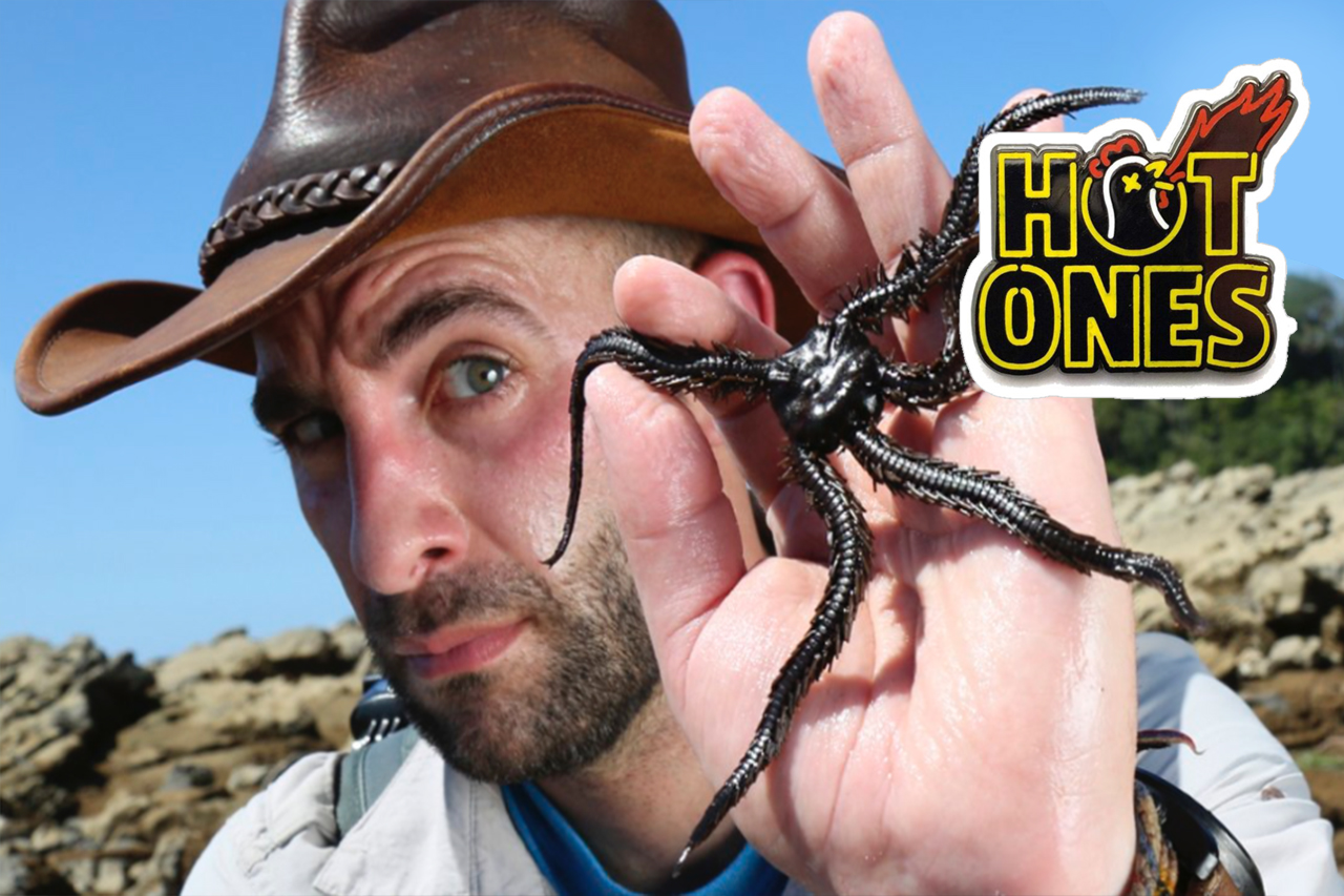 Coyote Peterson Gets BITTEN By Spicy Wings On Hot Ones
