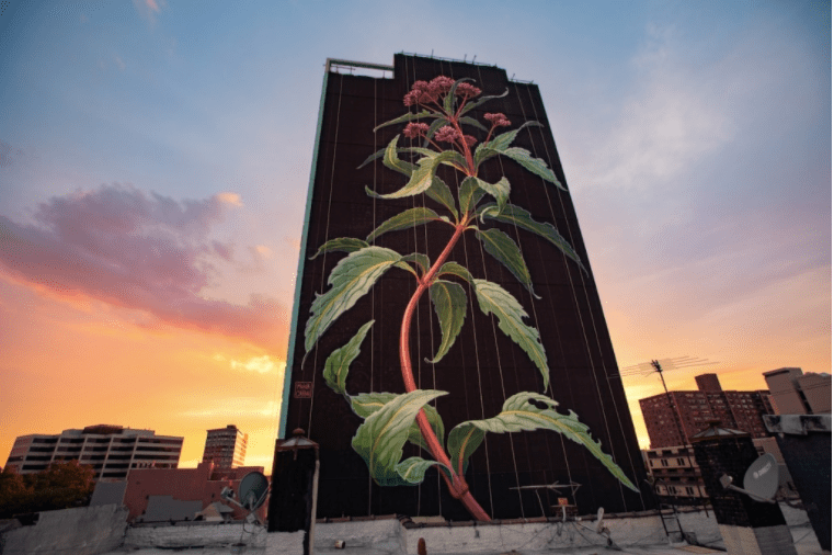 Beautiful Flower Mural Sprouts From Jersey City’s 20 Story Skyline