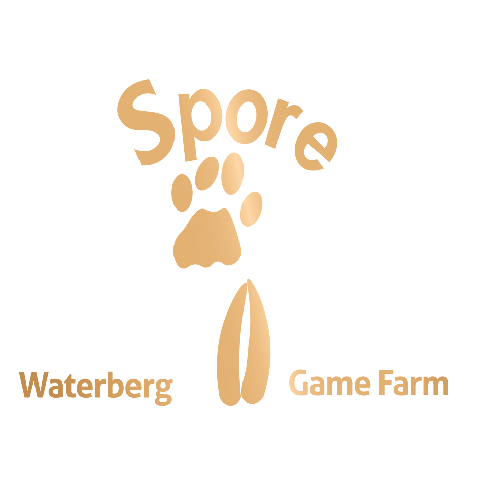 Spore Waterberg Game Farm