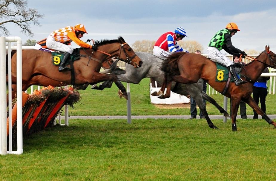 Horse Racing Picks and Tips to Help You Pick More Horse Racing Winners