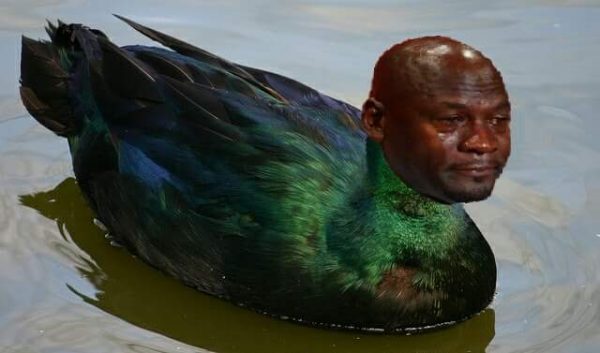 37 Best Memes of Florida State Crushed by Louisville; Bonus Oklahoma