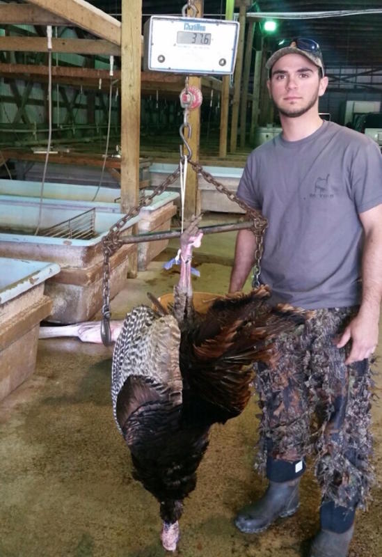 Turkey Federation Confirms New WorldRecord Bird Sporting Classics Daily