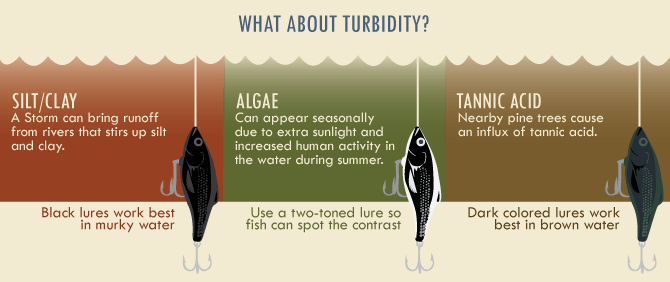 Does Lure Color Matter Underwater? Sporting Classics Daily
