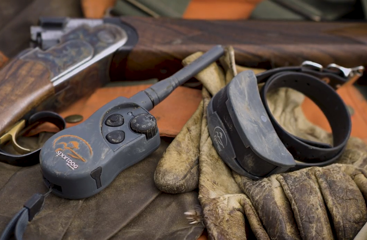 Introducing SportDOG Brand XSeries ECollars Sporting Classics Daily