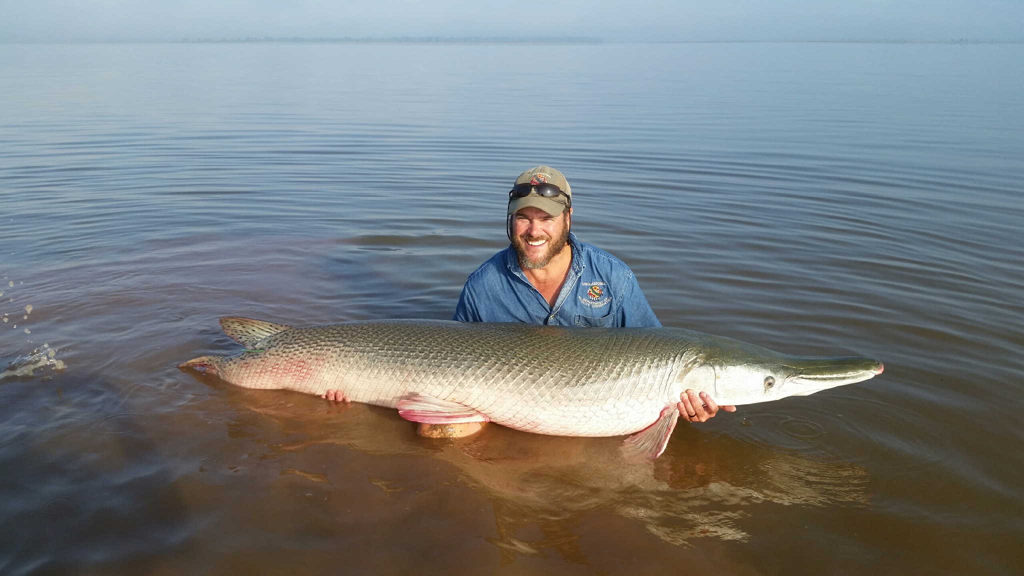 Essential Alligator Gar Research Underway In Oklahoma Sporting Classics Daily