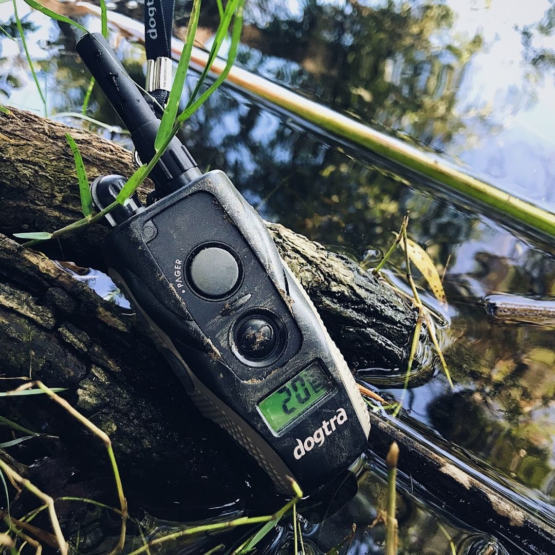 Dogtra Products Receive IPX9K Durability and Waterproof Rating