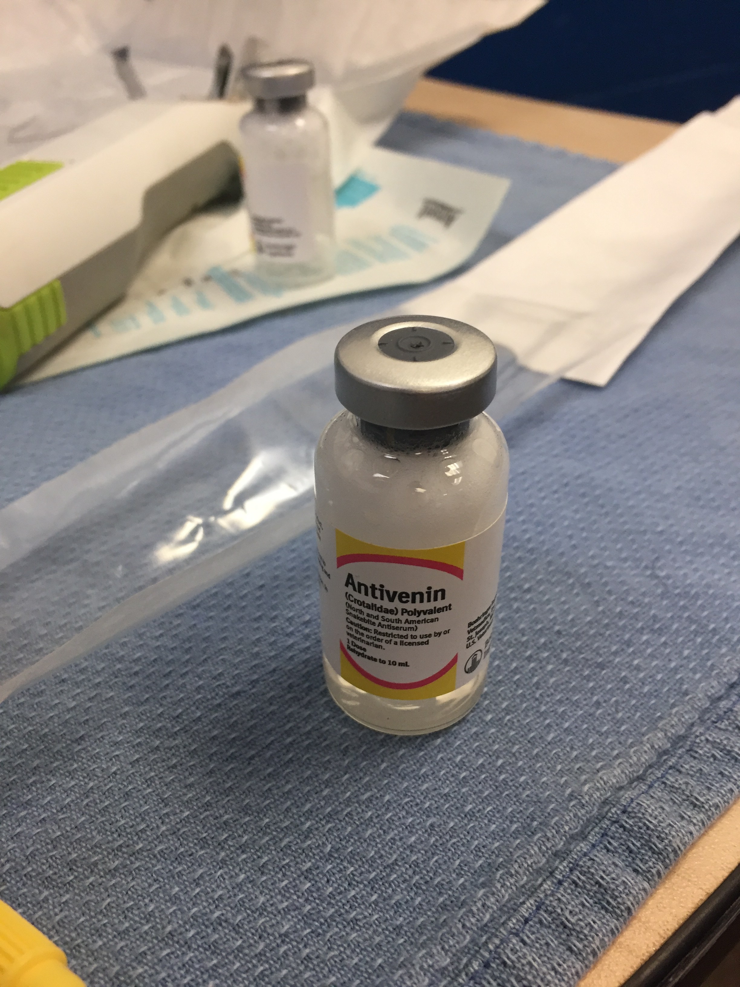 Rattlesnake Bites in Horses Sporting Road