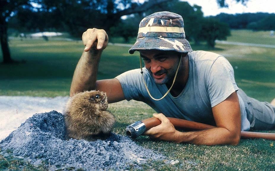 10 Best Golf Movies of All Time A Comprehensive List
