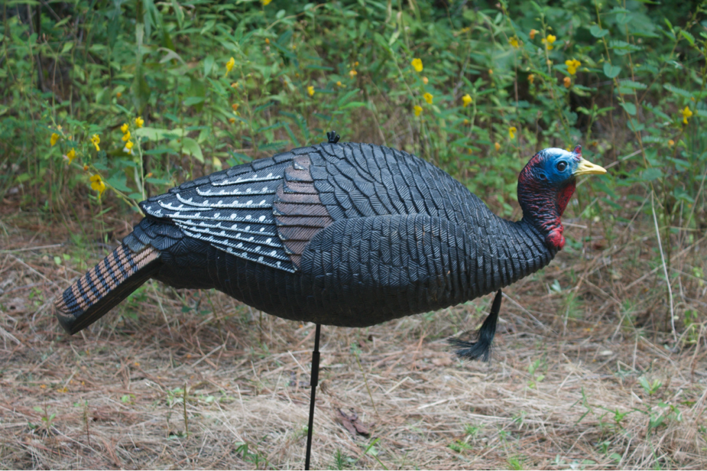 Sports Afield Jake & Hen Turkey Decoy Combo Sports Afield