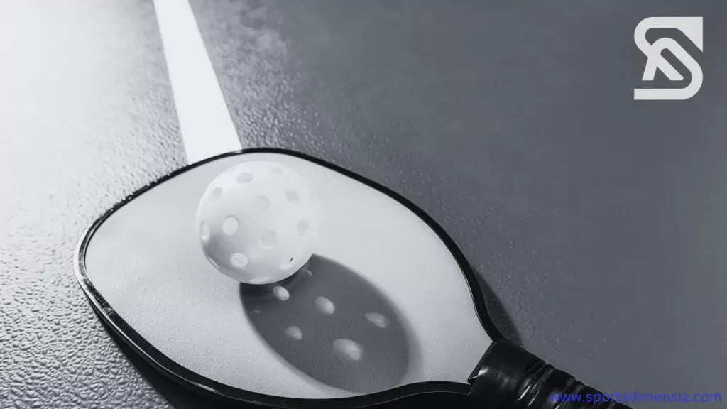 Pickleball Paddle Dimensions | Perfect Size for Perfect Play - Sports