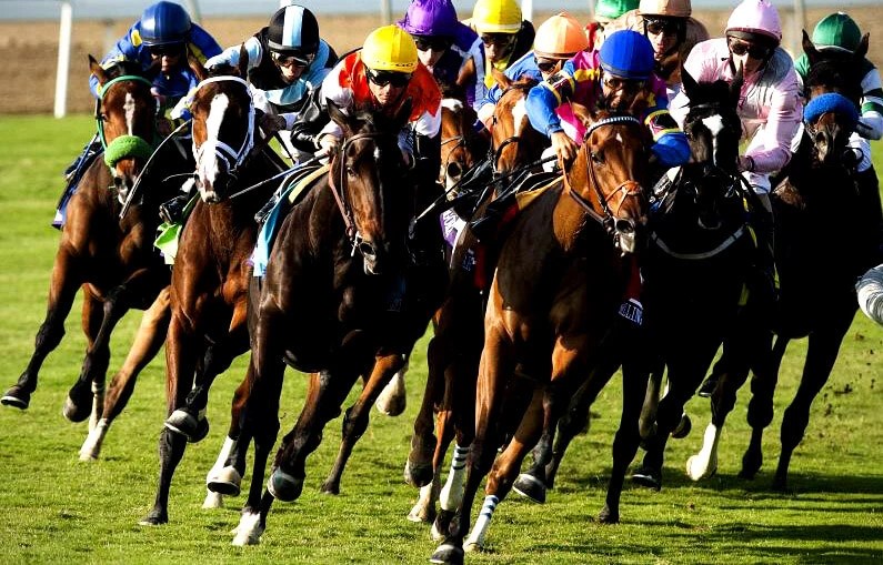 Understanding the Different Types of Horse Races Sports News Fun