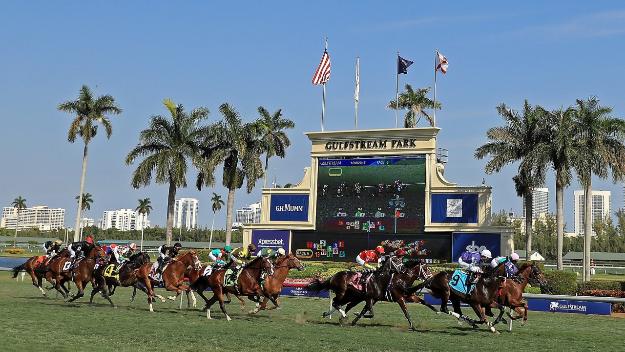 Florida Derby Results 2021 Odds, Post Positions & How To Watch Live