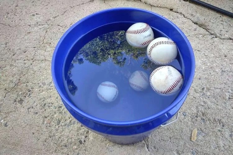 Do Baseballs Float? (An Accurate Answer)