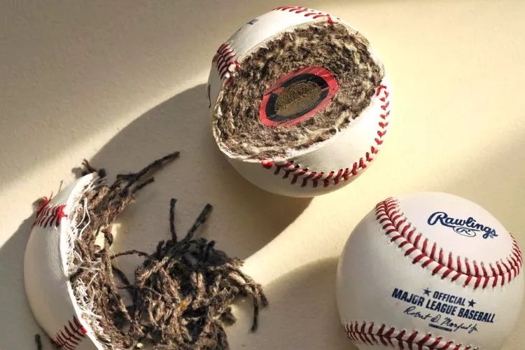 Do Baseballs Float? (An Accurate Answer)