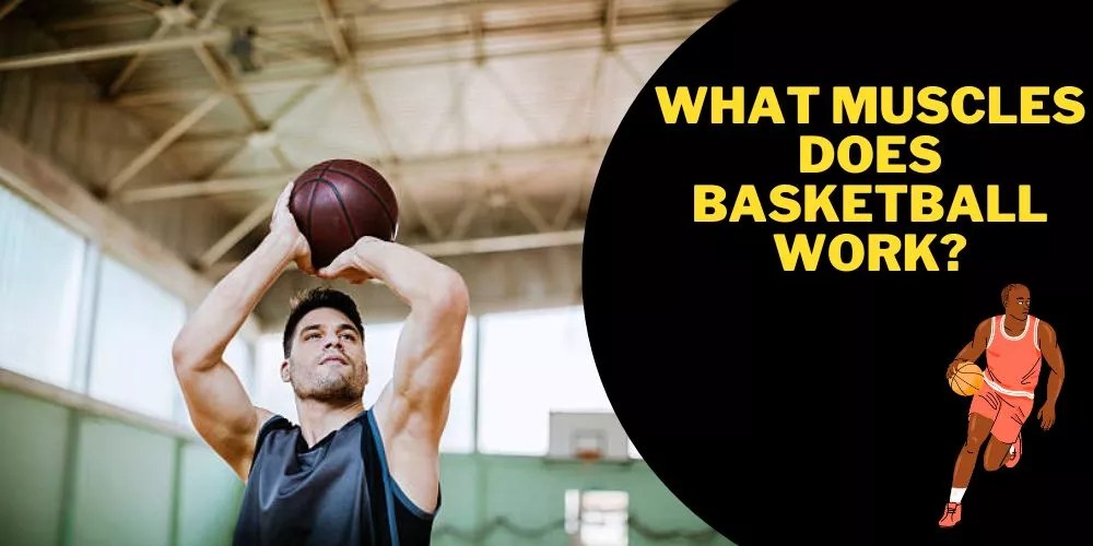What Muscles Does Basketball Work? (An Accurate Take)