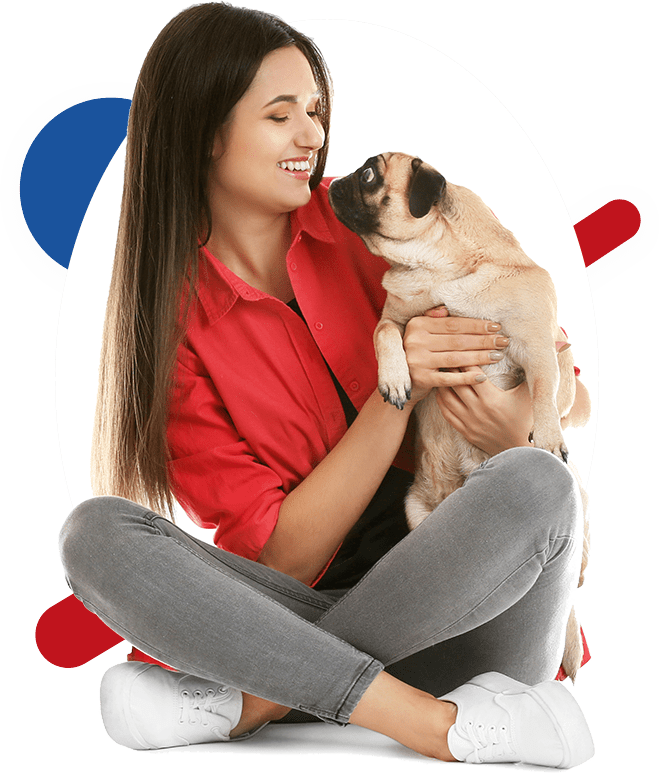 Spot Dog Training