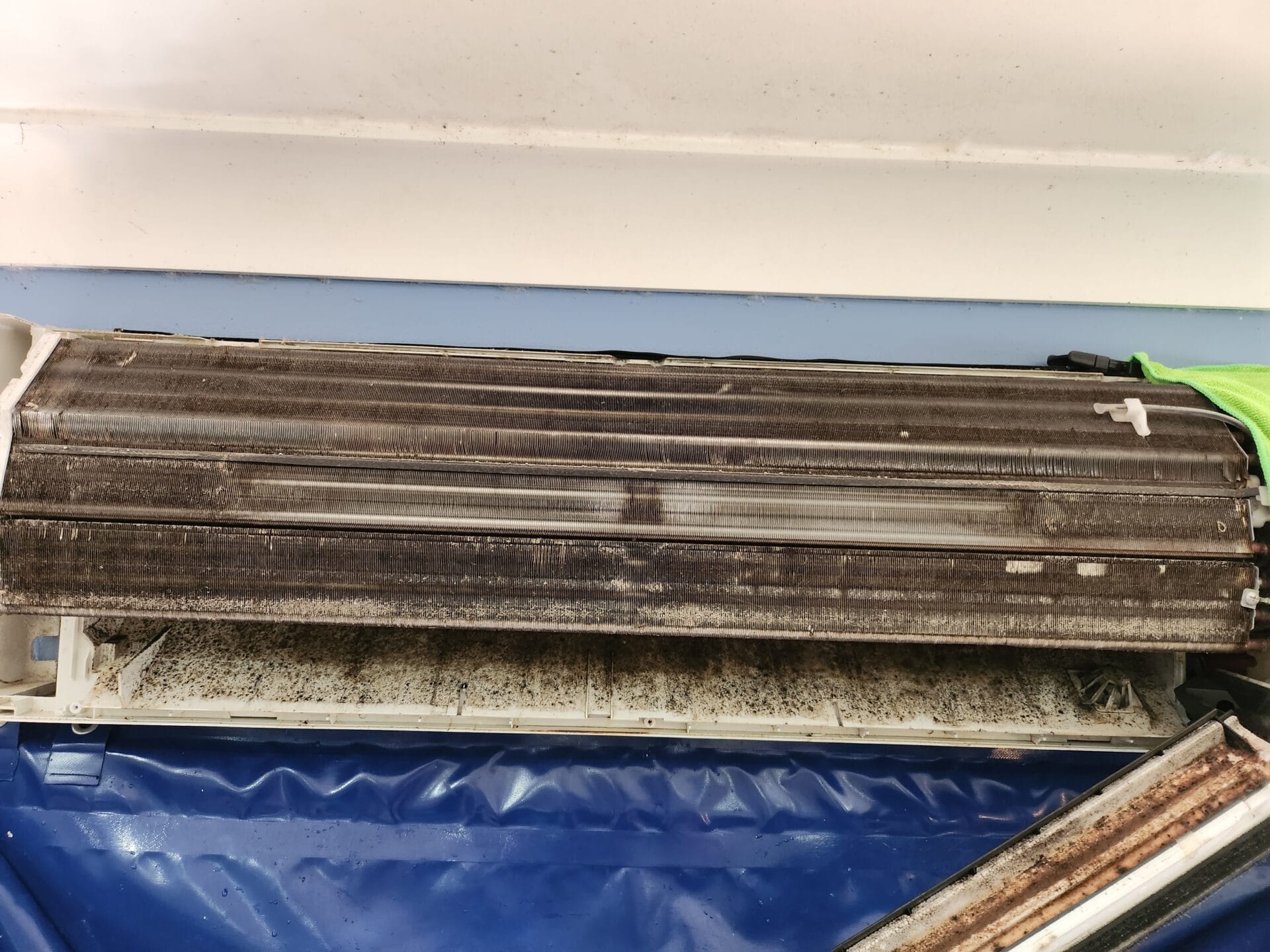 Mould in Your Air Conditioner? Remove It Now Find Out How