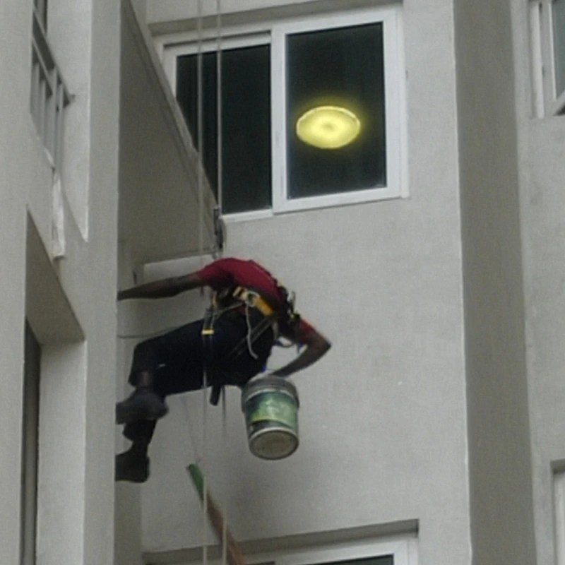 Cobwebs Cleaning Spotlessgo