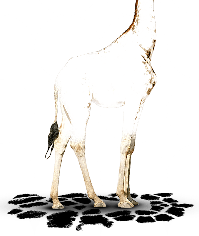 Contract Cleaners Blackpool & Fylde Spotless UK