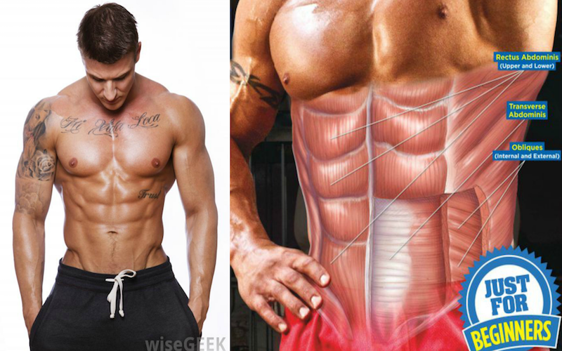 How To Get The Lower Abs VCut No Woman Can Resist