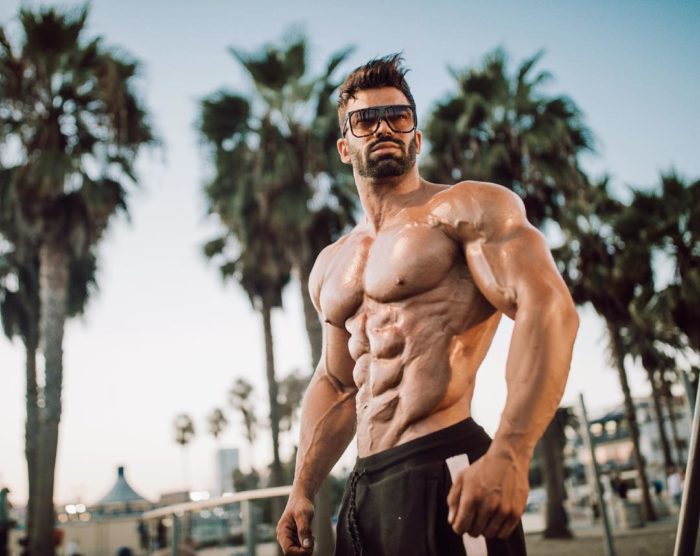 Greek God Muscle The Aesthetic Bodybuilding Physique