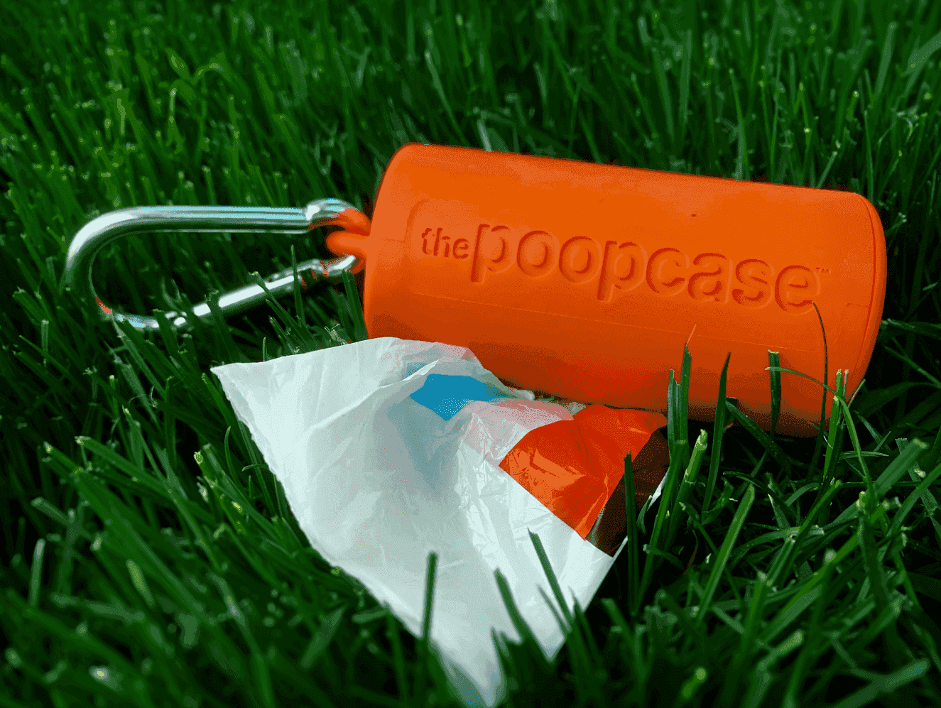 The BEST Dog Poop Bag Holder [2022] 20+ Tested