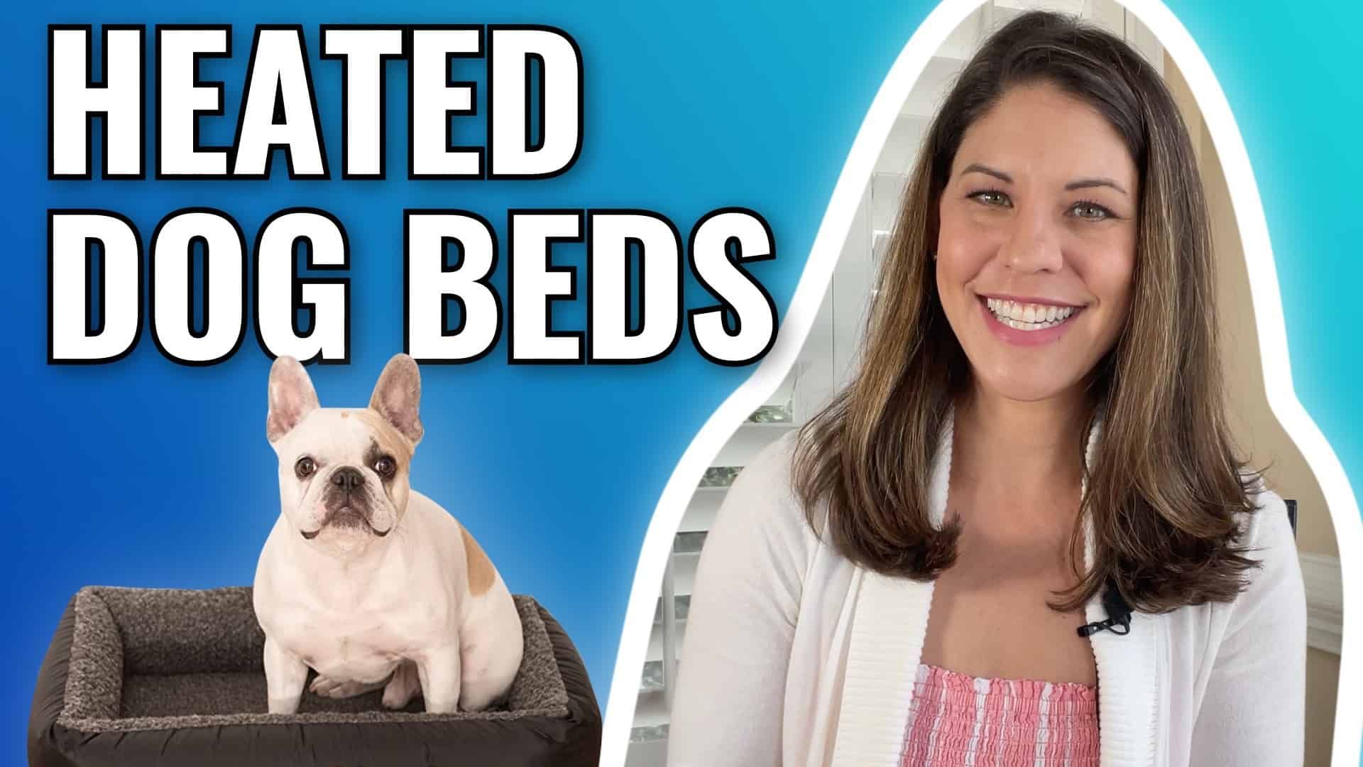 Best Heated Dog Bed, Mat & Pad [2023] 18+ Tested