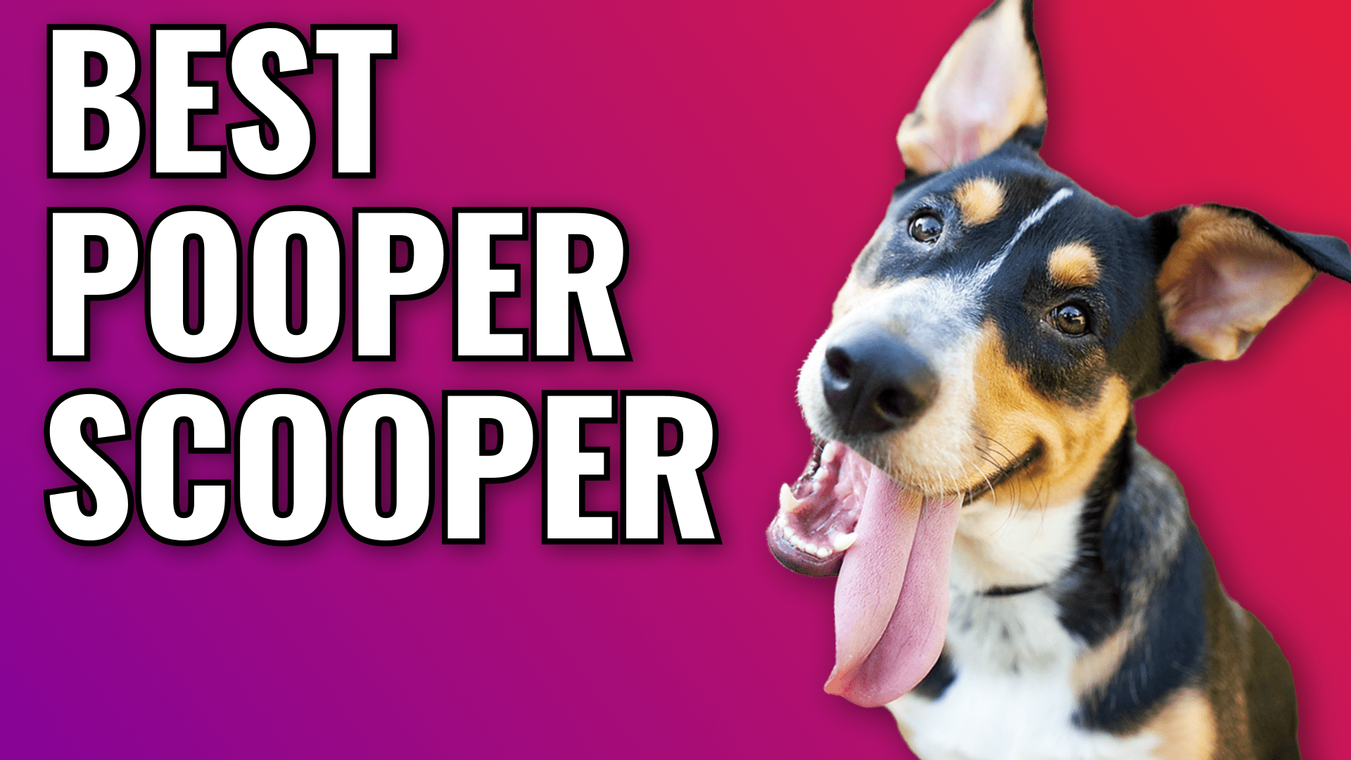Best Pooper Scooper Revealed Say Goodbye to Pet Messes Forever