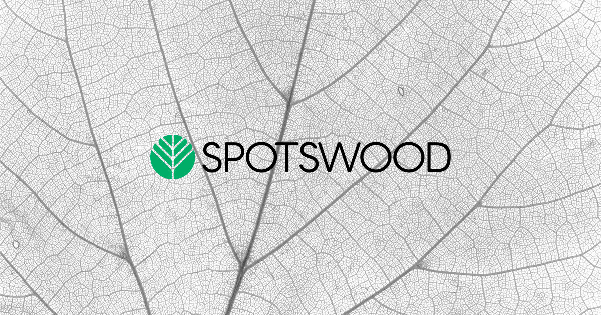 Contact our Business Attorneys for Commercial Litigation Spotswood