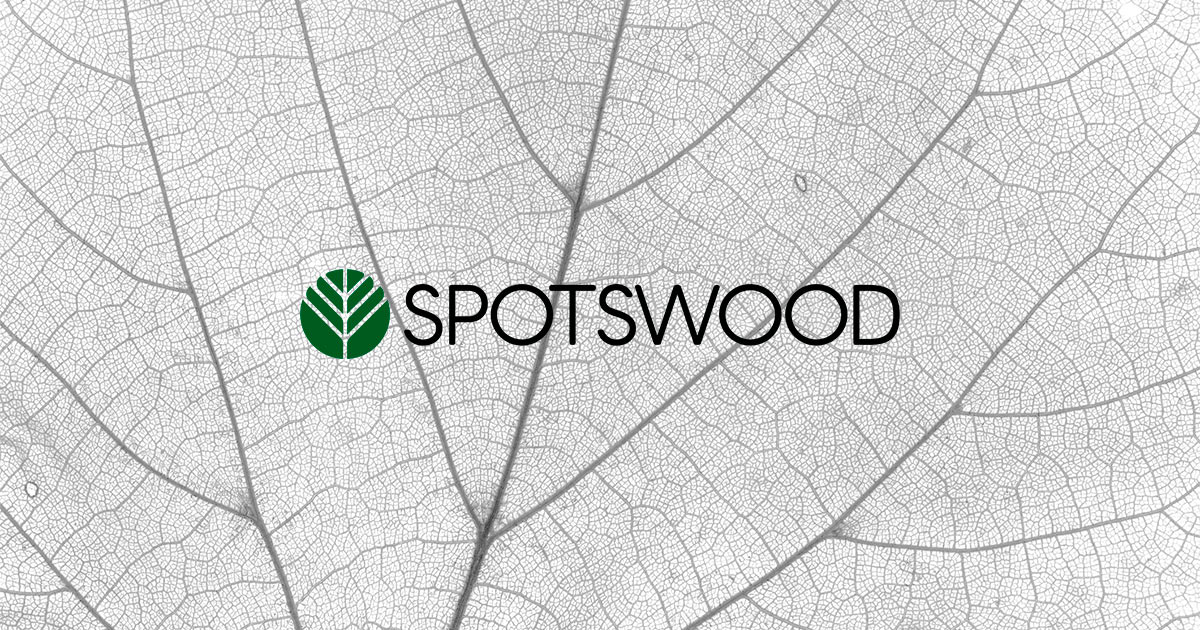 Business & Appellate Attorneys Complex Litigation