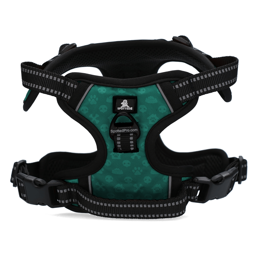 No Pull Harness Spotted! Pro