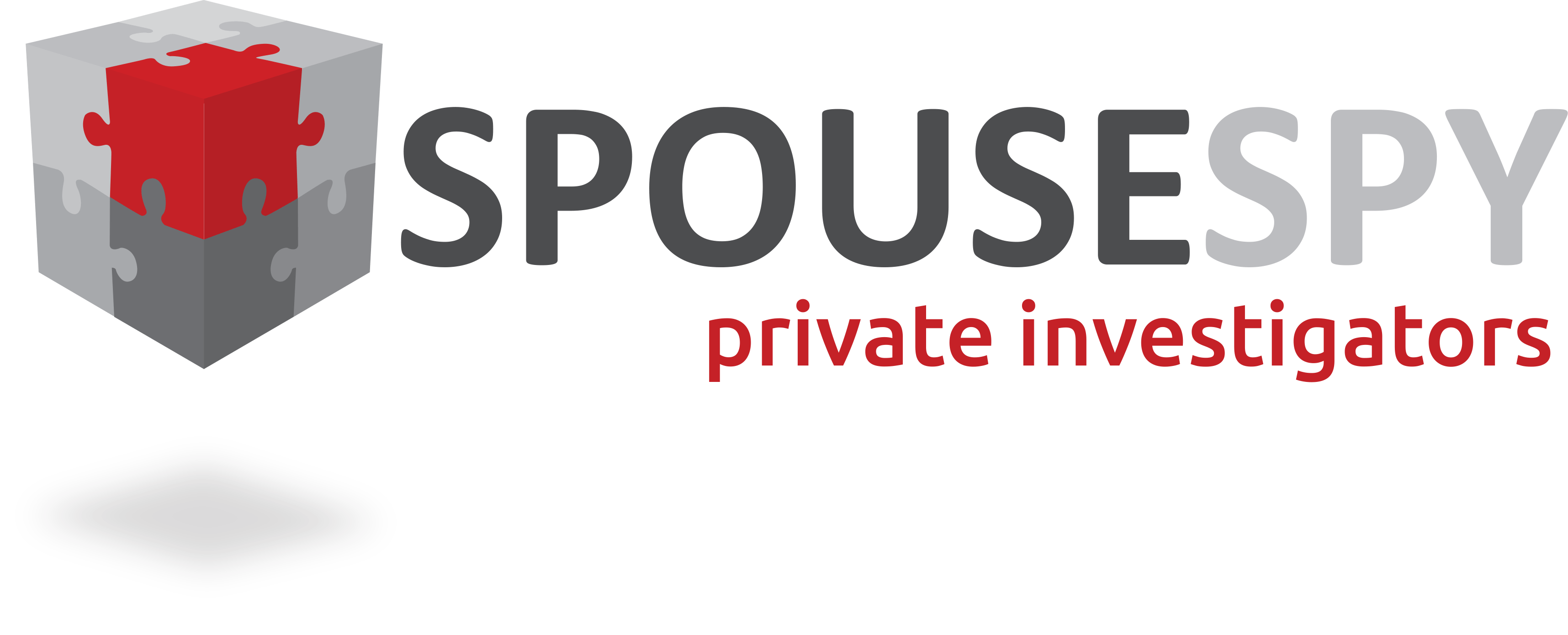 Types of cases a PI might handle Spouse Spy Private Investigators