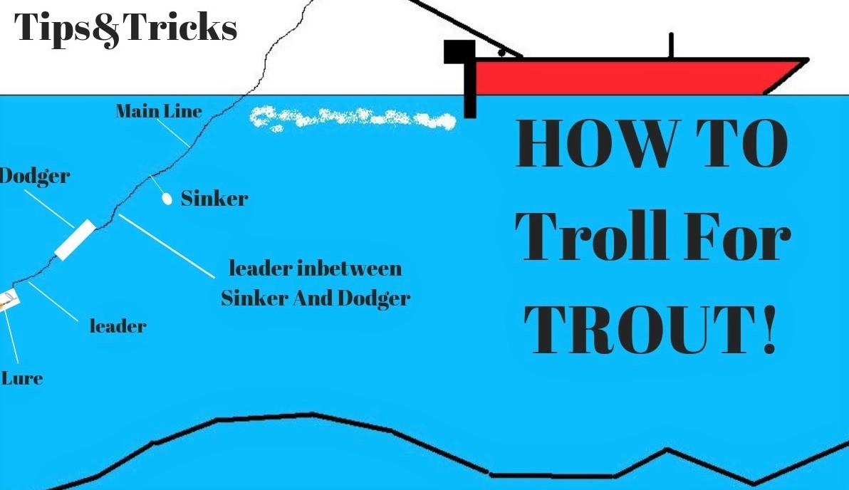 Best Trout Trolling Techniques, Tips & Tricks Troll Tactics Spoxor