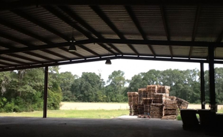 JACKSON COUNTY, FL (377 acres) SPP Land