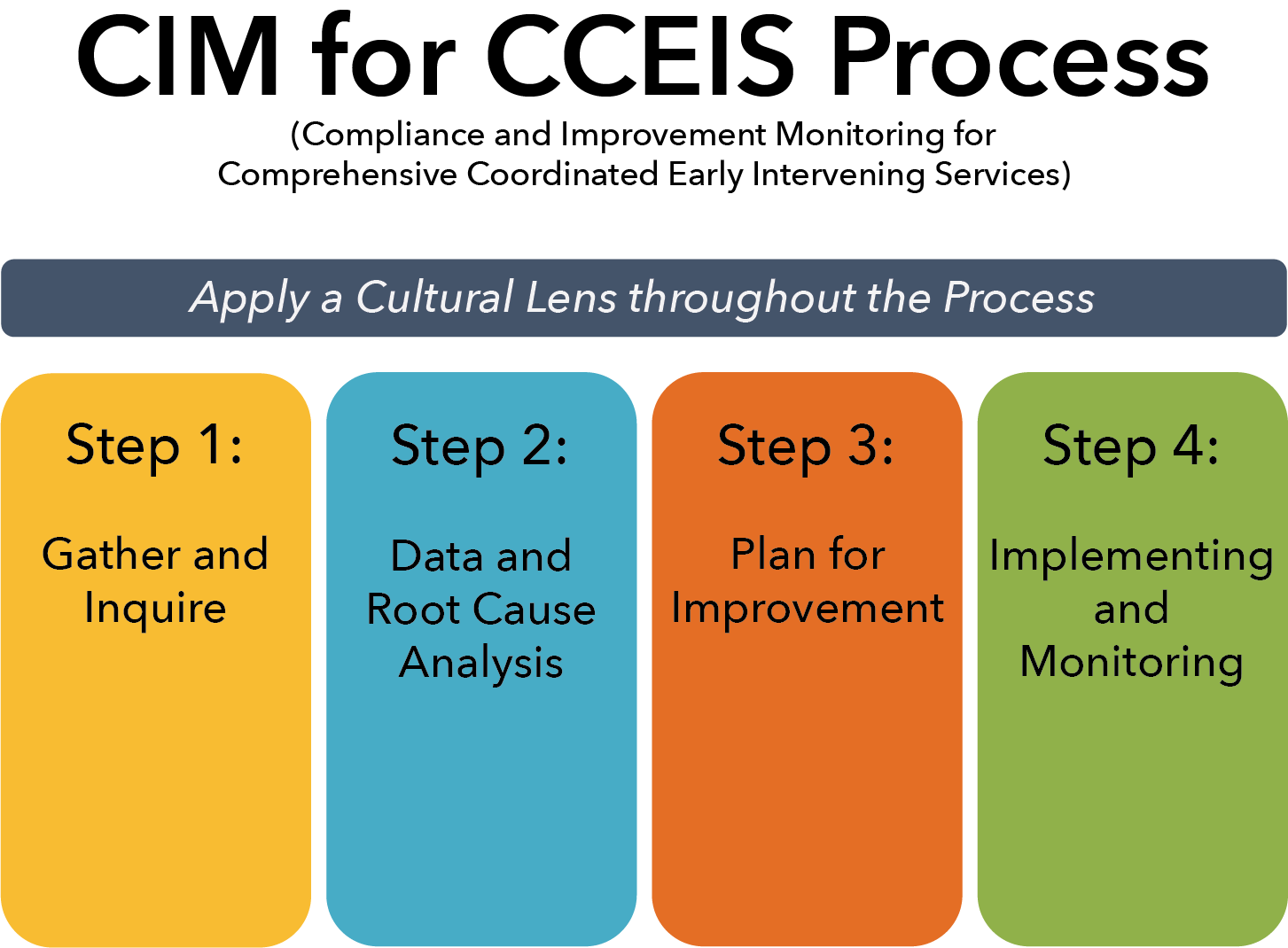 CIM for Sig Dis Plan for Improvement Process SPPTAP