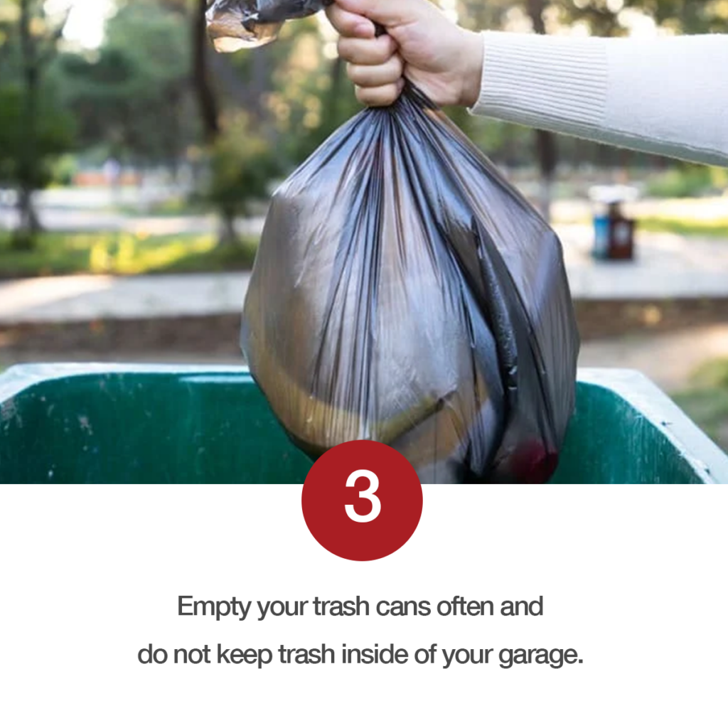 Pest Control ⋆ Spradley PropertiesSpradley Properties