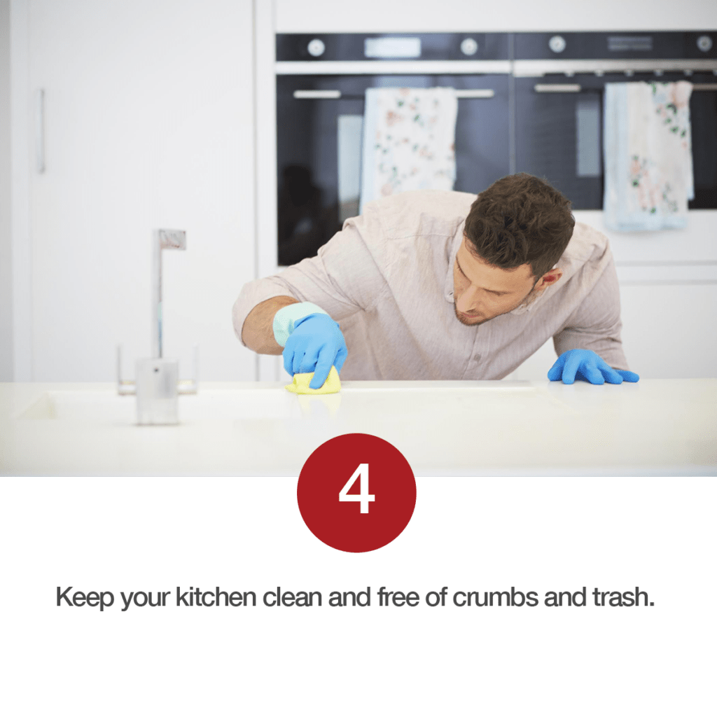 Pest Control ⋆ Spradley PropertiesSpradley Properties