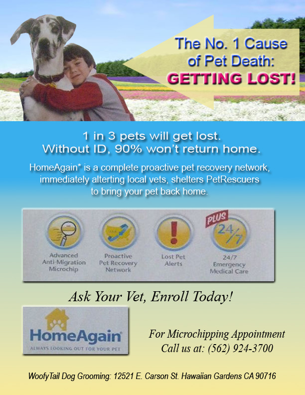 Dog Grooming Boarding in Cypress Cerritos Long Beach Lakewood la palma