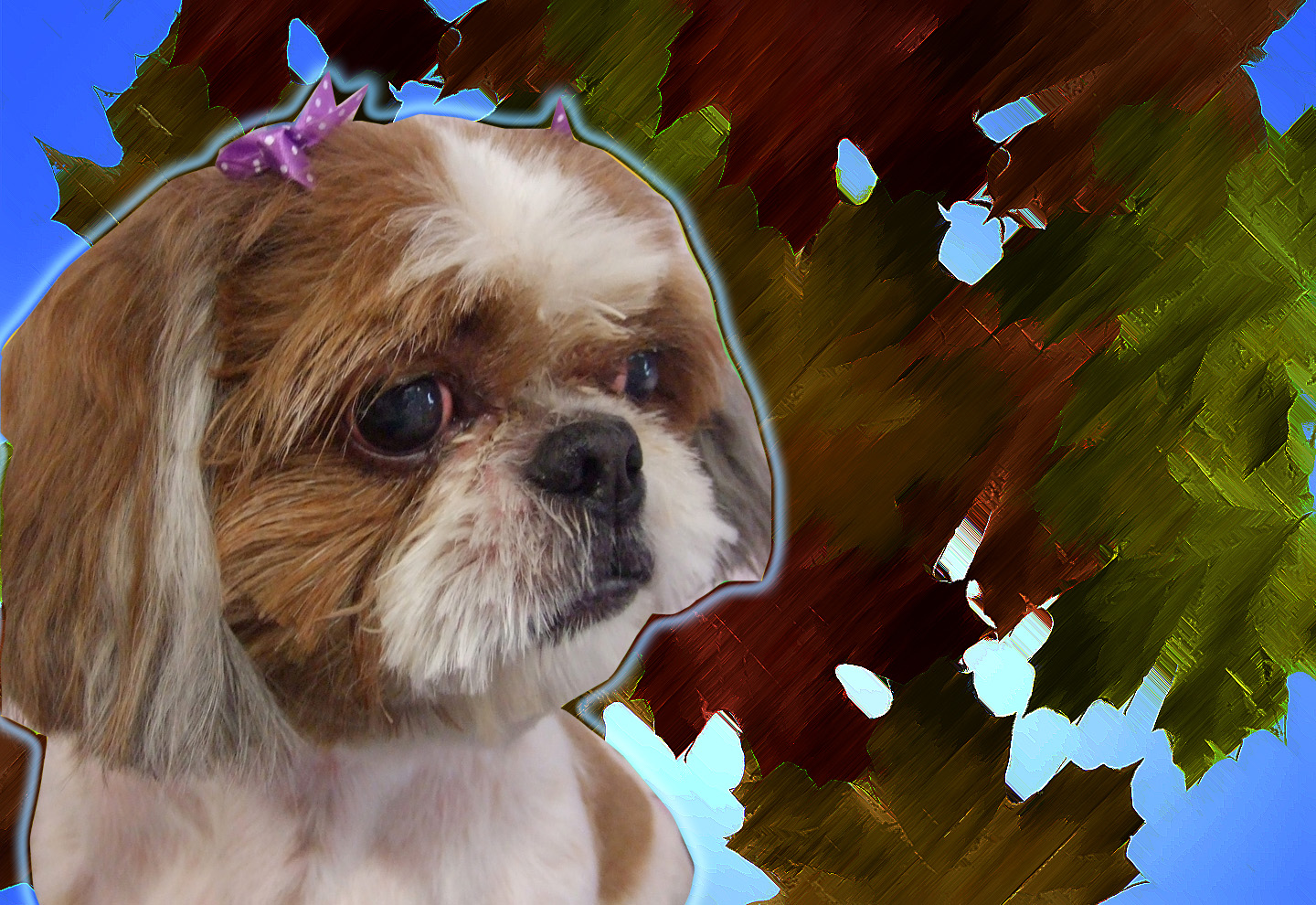 Dog Grooming in LA & Orange County Dog Grooming Services in Cypress