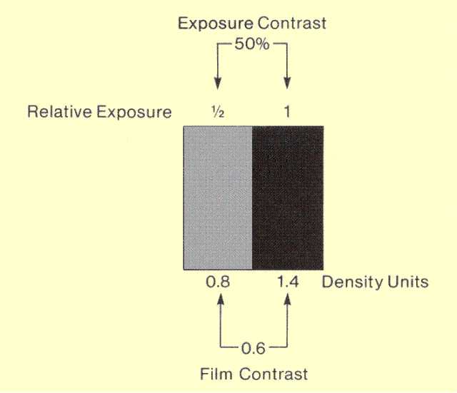 Film Contrast Characteristics