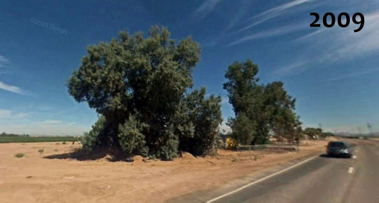 Queen Creek Costco What the site looked like ⋆