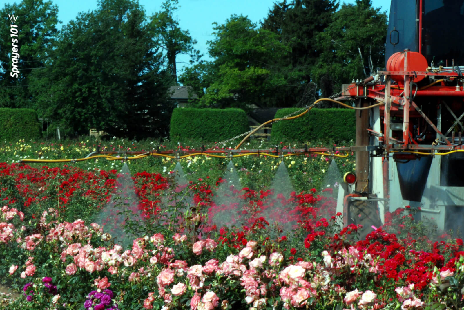 Stop and Spray the Roses More Efficiently! Sprayers 101